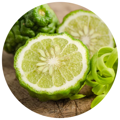 Bergamot