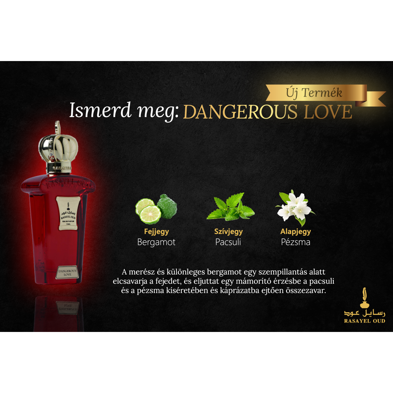 DANGEROUS LOVE