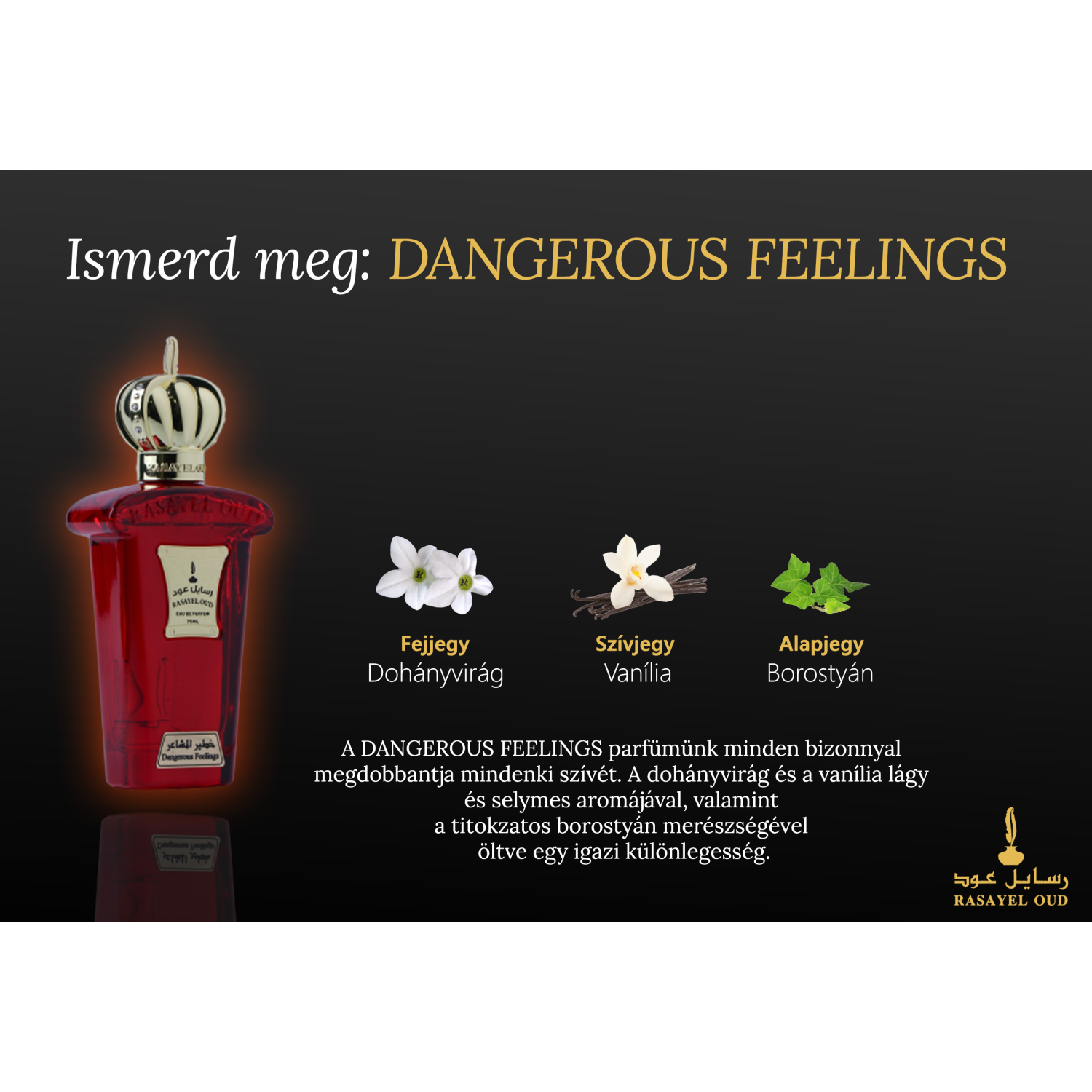 DANGEROUS FEELINGS