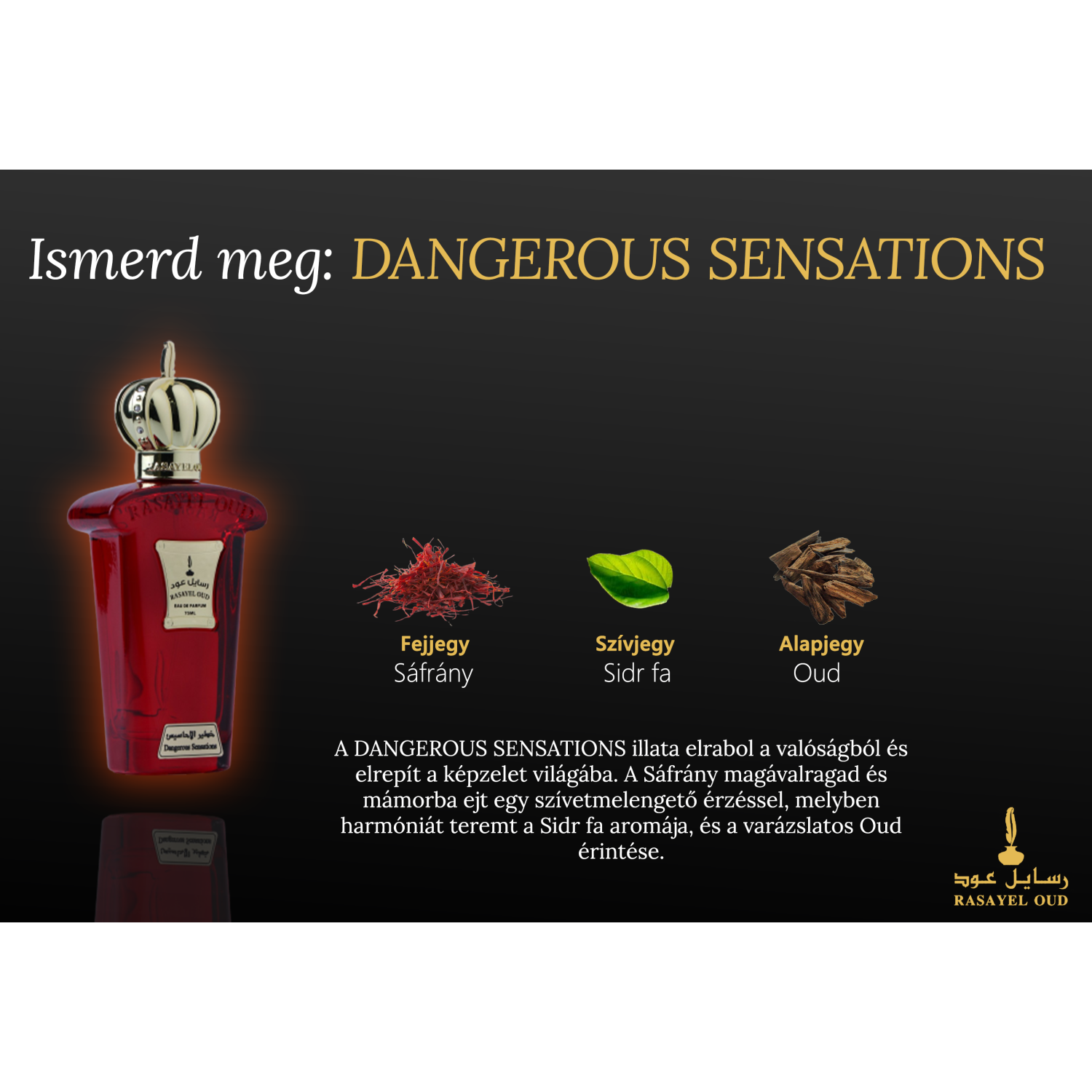 DANGEROUS SENSATIONS